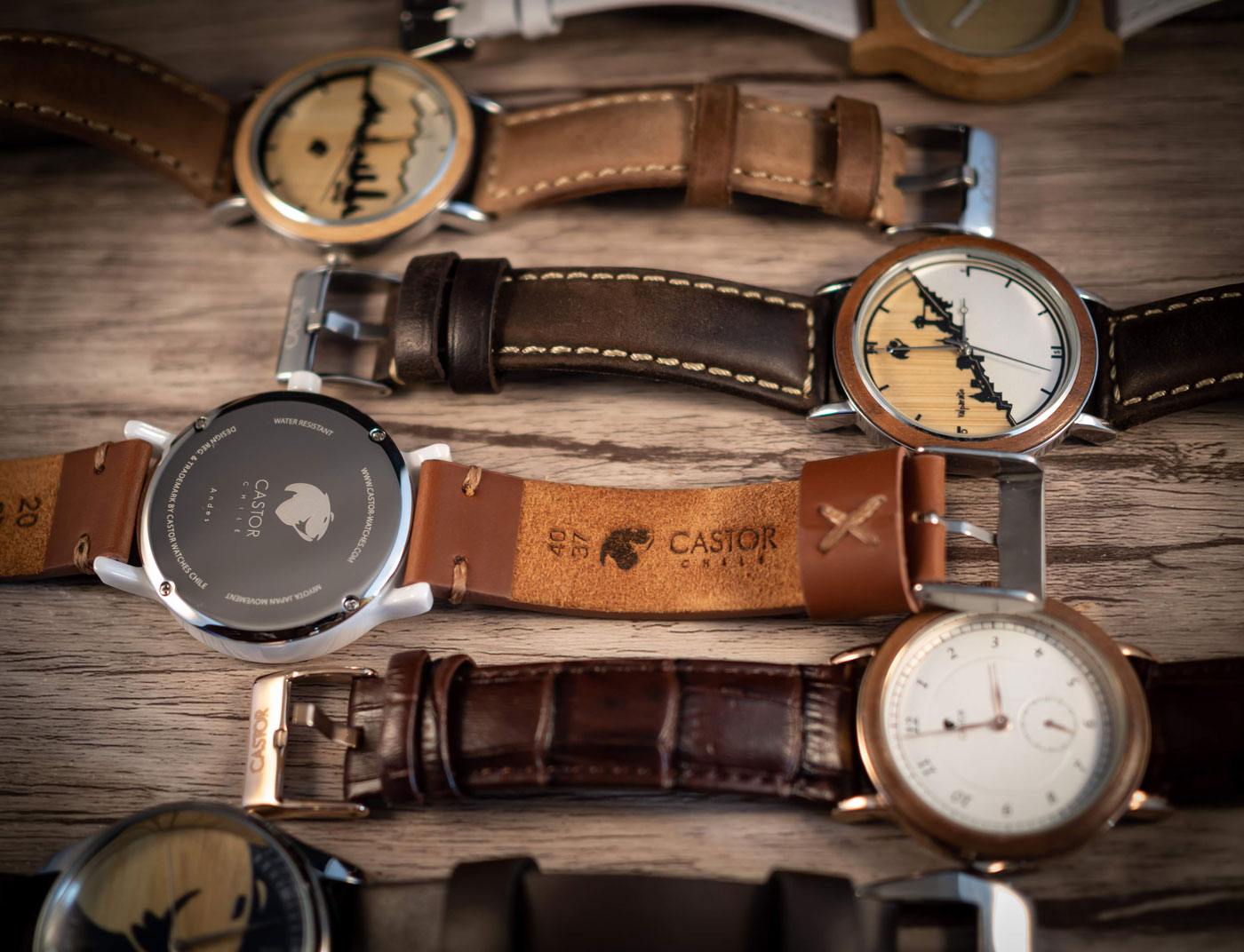 Correas-de-reloj-Castor